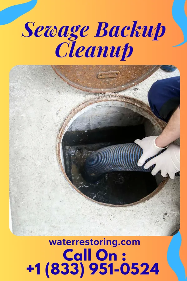 Sewage Backup Cleanup in West Line, MO