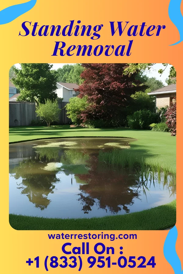 Standing Water Removal in West Line, MO